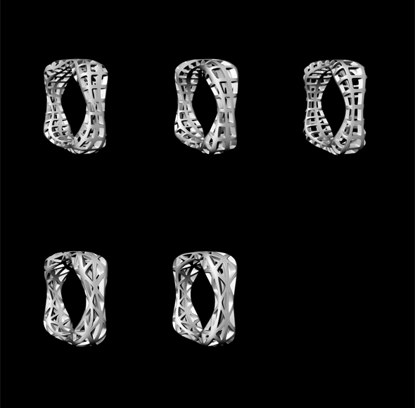 digital filigree - Kopf_Ring_Variations